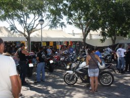 XVII Concentracion - 2010